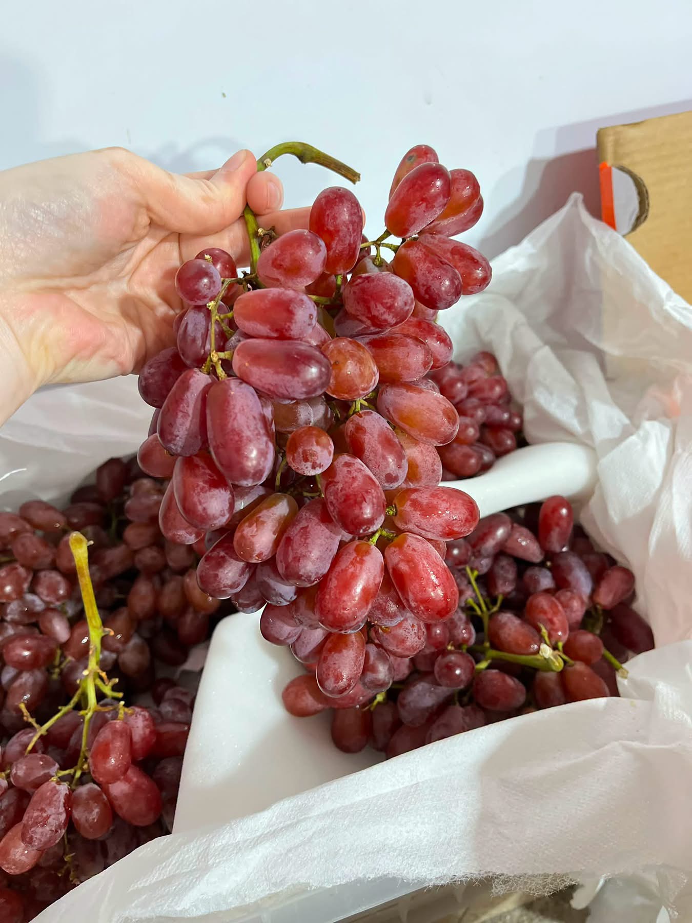 Anggur Crimson 115 rbu / kg